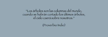  Frase Árbol No. 7 