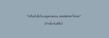 Frase Árbol No. 9 
