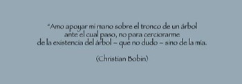  Frase Árbol No. 10 