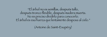  Frase Árbol No. 13 