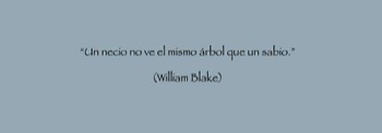  Frase Árbol No. 19 
