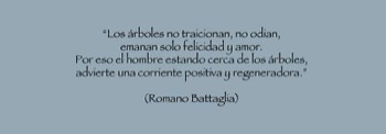  Frase Árbol No. 20 