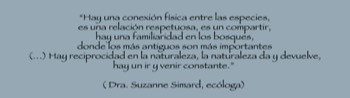  Frase Bosque de la Luz No. 21 